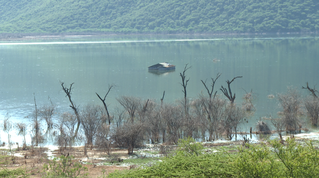 Displaced by the Waters: Climate Refugees at Lake Bogoria, Kenya