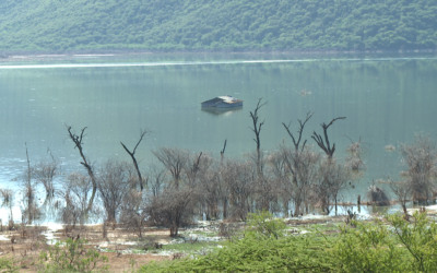 Displaced by the Waters: Climate Refugees at Lake Bogoria, Kenya