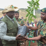 Tree planting holiday! But where are the seedlings?