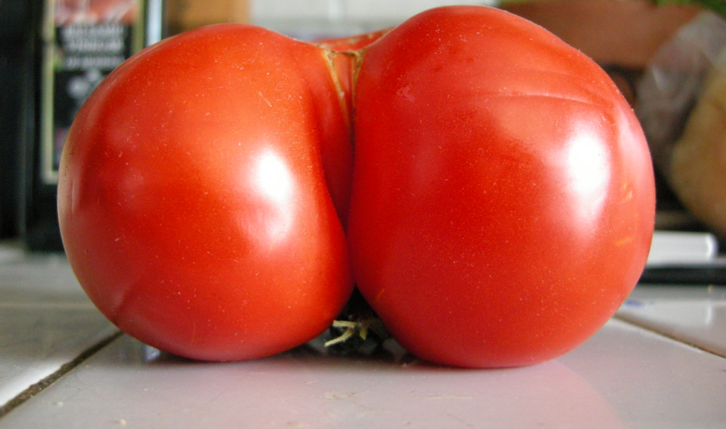 “Ugly” Fruits on Food Insecurity and Climate Change