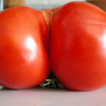 “Ugly” Fruits on Food Insecurity and Climate Change