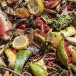 A Billion Tonnes of Food Wasted AS 783 Million Go Hungry