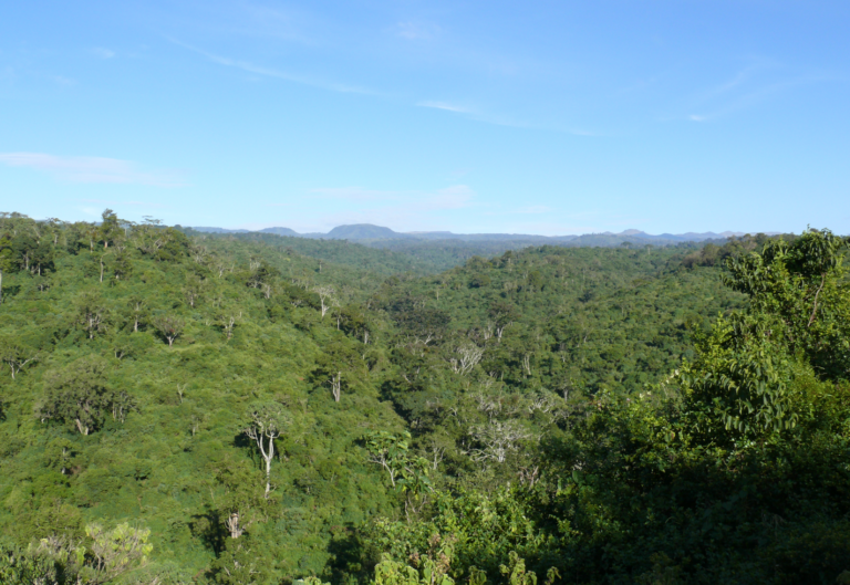 Abedares Closed Canopy