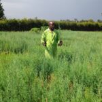 Ex-Accountant Fighting Climate Change a Tree Seedling at a Time