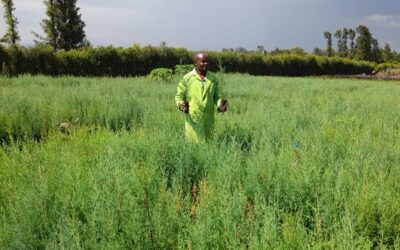 Ex-Accountant Fighting Climate Change a Tree Seedling at a Time