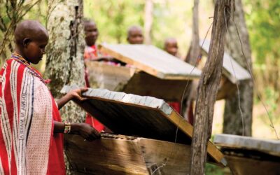 masa-mara-community-beekeping-beehive-photo-courtesy-andbeyond.com