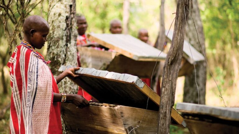 masa-mara-community-beekeping-beehive-photo-courtesy-andbeyond