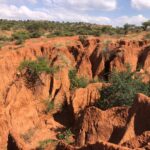 Kenya Warns of Severe Land Degradation Crisis