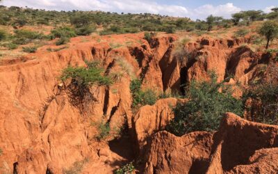 Gulleys at Naibunga Community Conservation
