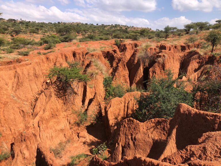 Gulleys at Naibunga Community Conservation