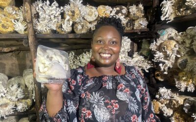 City Dweller Reaping from ‘White Gold’