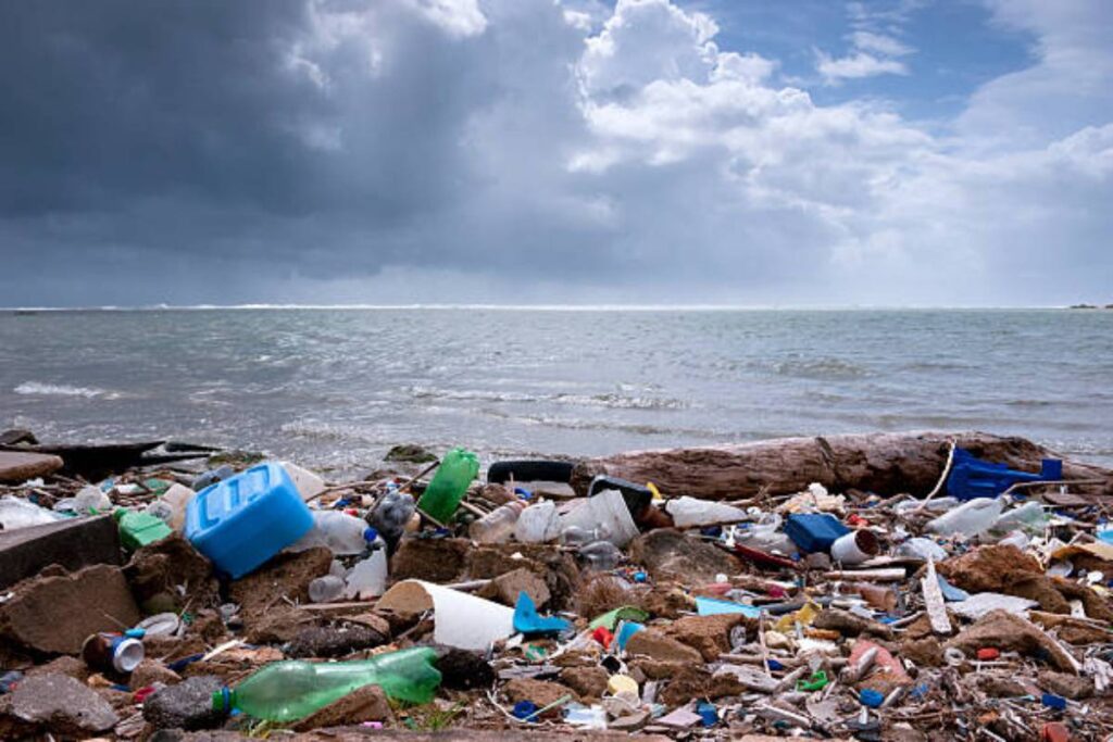 Addressing Plastic Waste Along the Coastline: A Call to Action