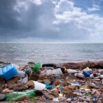 Addressing Plastic Waste Along the Coastline: A Call to Action