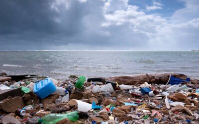 Addressing Plastic Waste Along the Coastline: A Call to Action