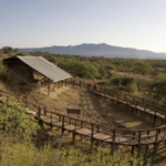 Kenya Positioned as a Hub for Human Origins Research