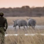 World Rangers Day: Honoring Kenya’s Forest Rangers