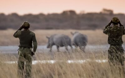 World Rangers Day: Honoring Kenya’s Forest Rangers