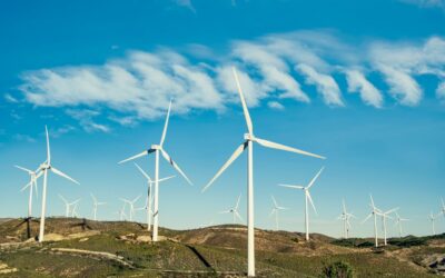 Urgent Push for Renewable Energy 2030 Target