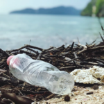 Kenya Joins Global Coalition to Combat Plastic Pollution