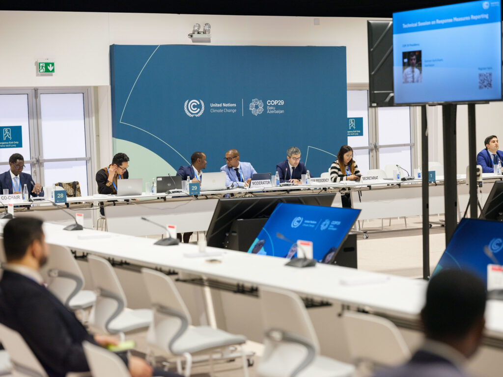 UN Climate Chief Warns Climate Crisis Threatens Global Economy