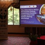 China-Africa Renewable Energy Summit Launches with Investor Matchmaking