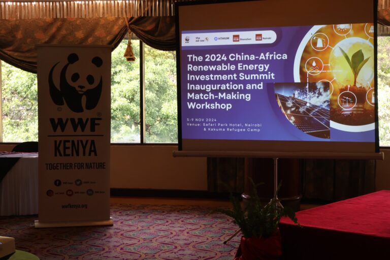 China-Africa Renewable Energy Investment Summit