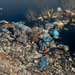 Financing: Why Negotiators Must Tread Carefully in Solving the Global Plastic Treaty’s FundingDilemma