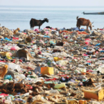 Plastics Are Now in Our Brains and East Africa Is not Spared