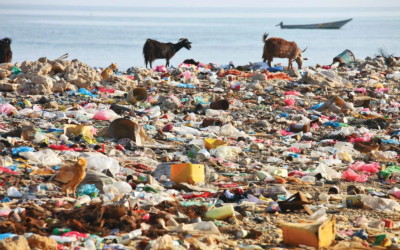 Plastics Are Now in Our Brains and East Africa Is not Spared