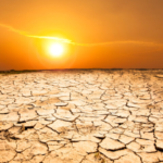 Africa Urges Action on Global Warming