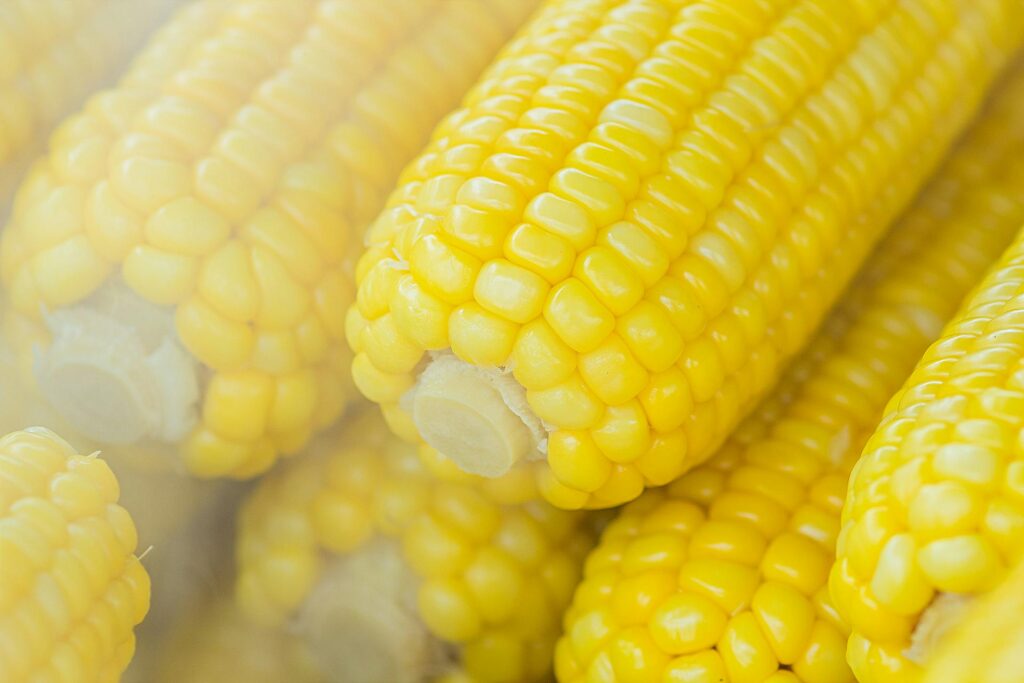 NBA Analyzes Public Feedback on GM Maize Safety in Kenya