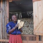 Tackling Climate Change in Pastoral Communities