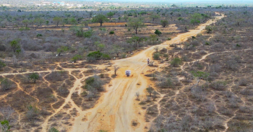 Saving the Forests through Clean Cooking: A New Approach in Kilifi