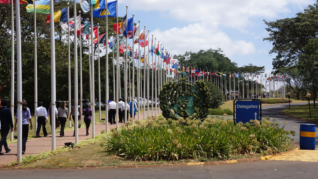 UNEP Declares Climate Emergency