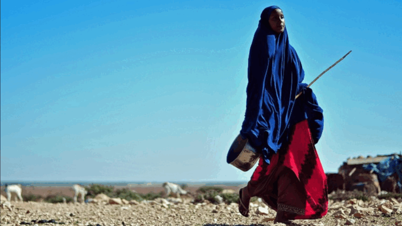 Women Bear the Burden of Climate Change