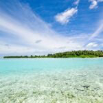Record Coral Bleaching Hits East African Coast Among Other Beaches