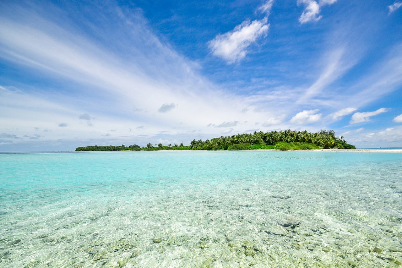 Record Coral Bleaching Hits East African Coast Among Other Beaches