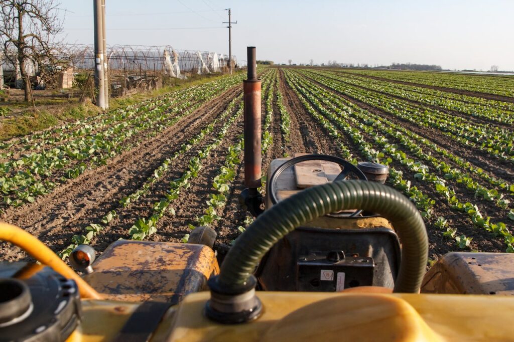 Western-Led Farming Reforms Deepening Hunger in Africa