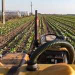 Western-Led Farming Reforms Deepening Hunger in Africa