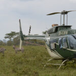 KWS Cracks Down on Wild Trafficking – From Ants to Bees