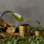Kenya and South Africa Banks Drive Africa’s Green Finance Shift