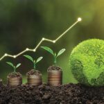 Counties Struggle to Tap Green finance for Sustainable Development