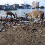 Kenyan Coastline Choking in Plastic Waste