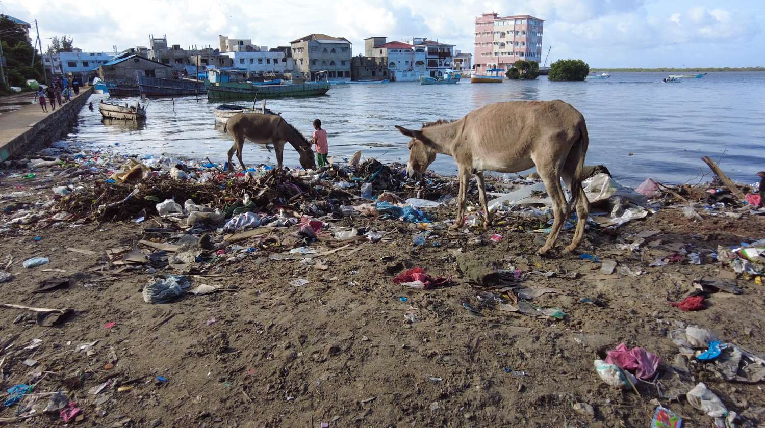 Kenyan Coastline Choking in Plastic Waste