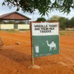 Wagalla Women Stir Resilience and Hope Through Natural Yoghurt