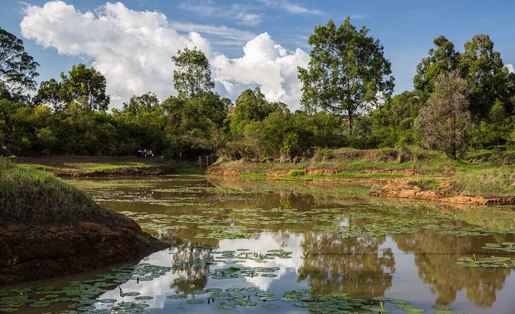 Where Waterfalls Sing and Money Roars, a Silent War for KES 245 Million Rages