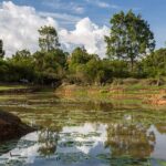 Where Waterfalls Sing and Money Roars, a Silent War for KES 245 Million Rages
