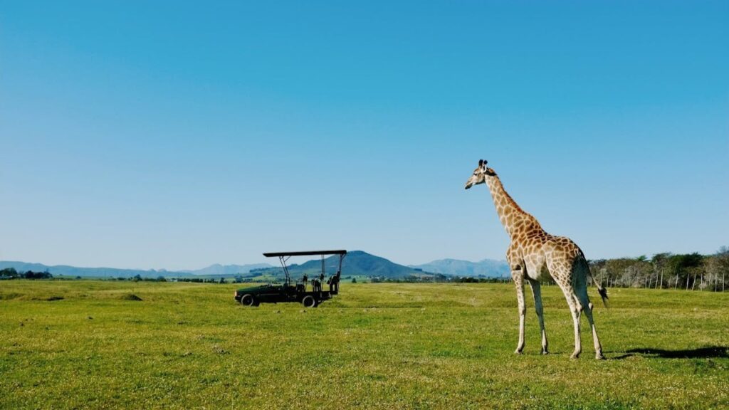 Tanzania’s Democracy Decline Raises Alarms for Conservation and Climate Action in East Africa