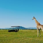 Tanzania’s Democracy Decline Raises Alarms for Conservation and Climate Action in East Africa