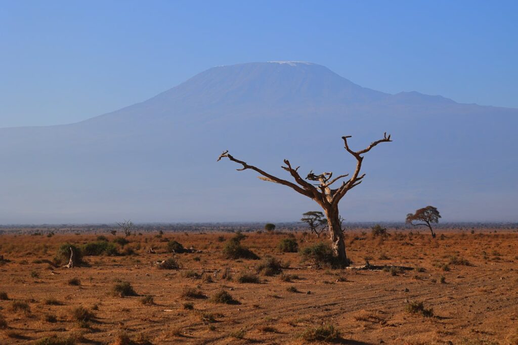 How Kenya Is Rewriting Its Future from Crisis to Resilience